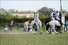 UKPA  NC Sat_1311